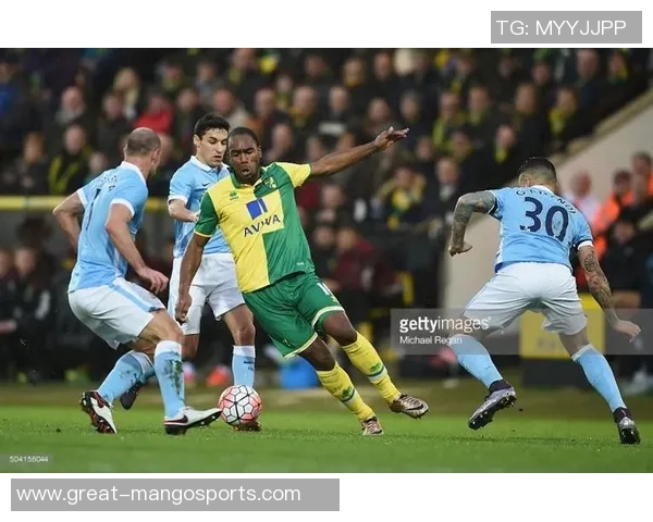 诺维奇对曼城精彩直播全程回顾与赛后分析